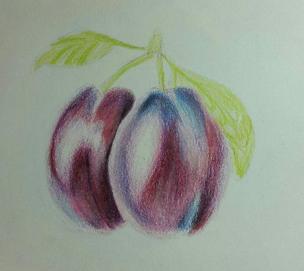 Слива пастелью