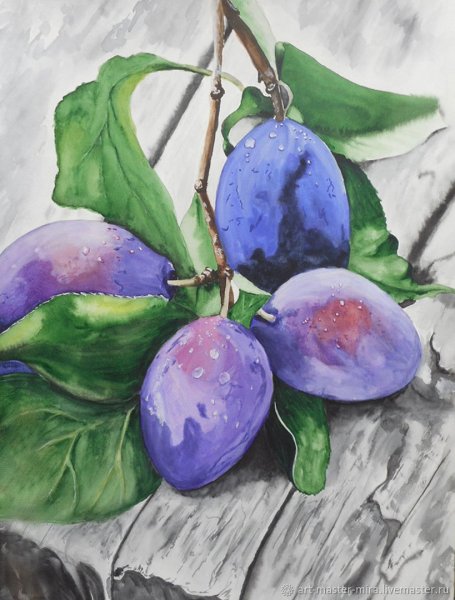 Натюрморты для срисовки