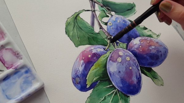 Лиза Краснова маркеры Копик