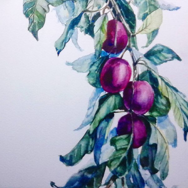 Марина Юкиш картины