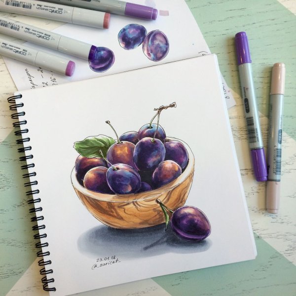 Слива живопись акварель