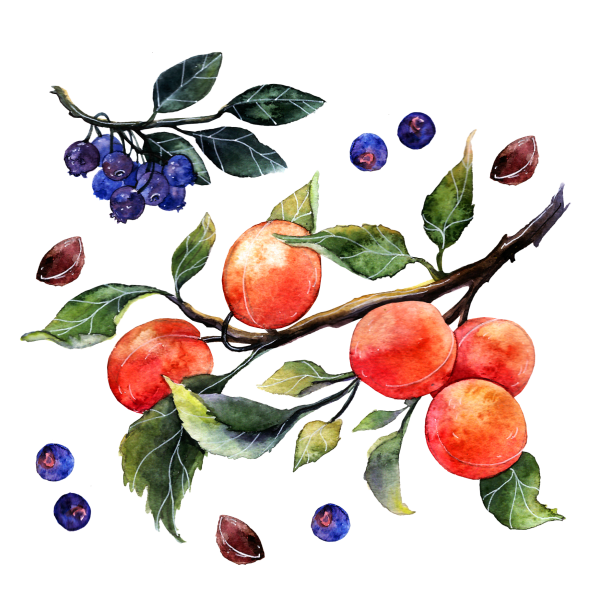 Художник Екатерина Путятина натюрморты