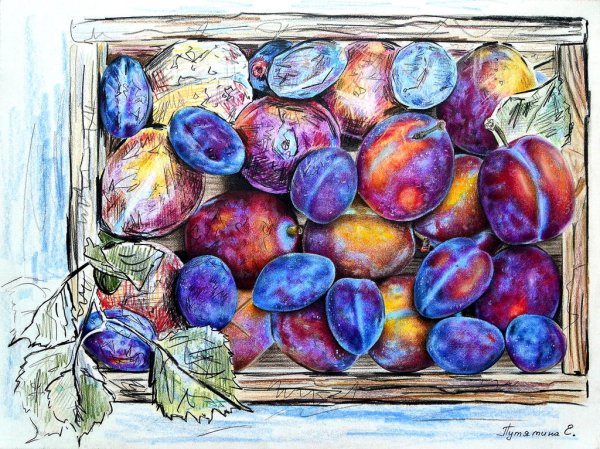 Ягоды рисунок