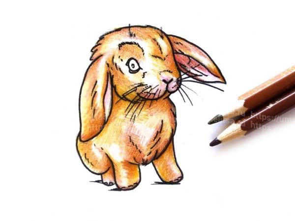 Рисование штрихами зайчик