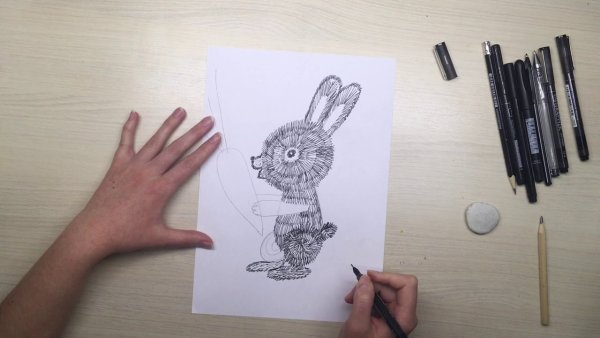 Рисовалка зайчик