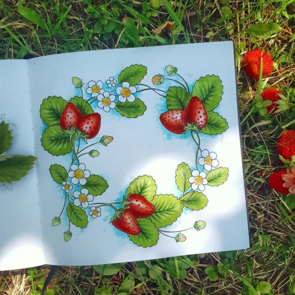 Клубника маркерами