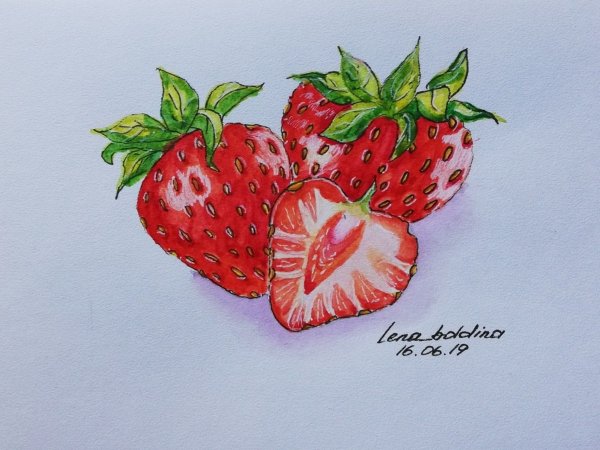 Клубника скетч маркерами