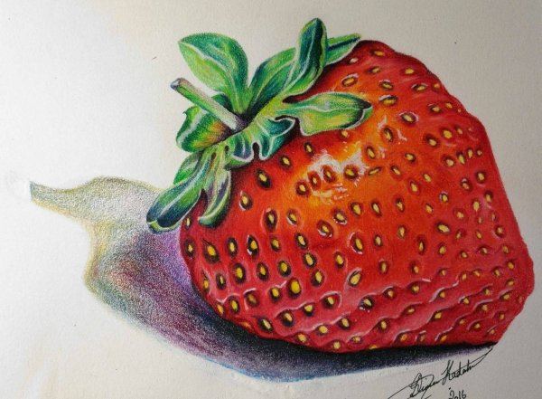Клубника скетч маркерами