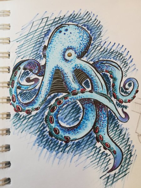 Осьминог фломастерами