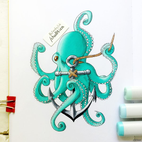 Осьминог маркерами