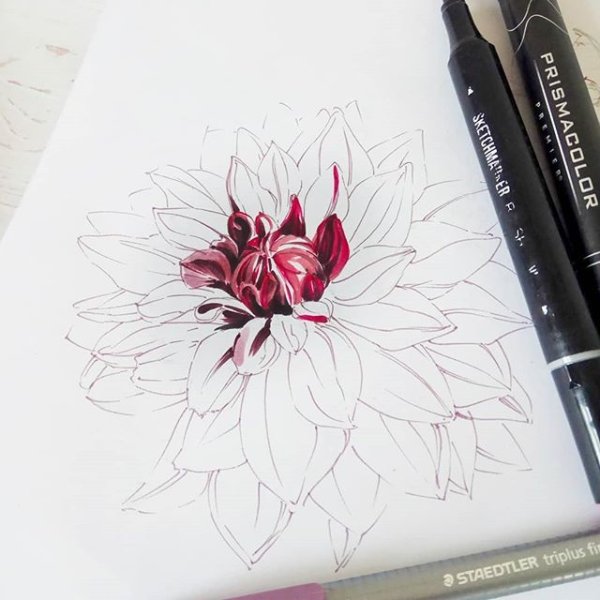 Prismacolor линеры