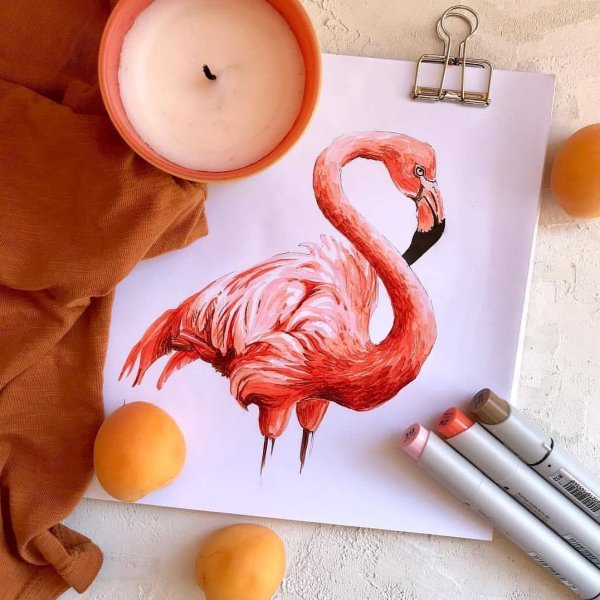 Фламинго скетч маркерами