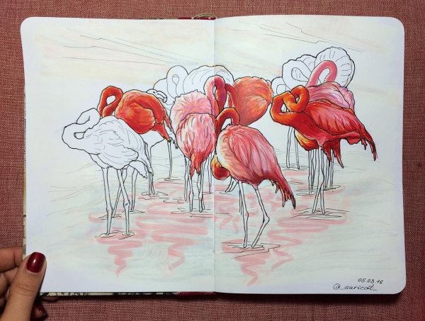 Рисование маркерами для скетча Фламинго