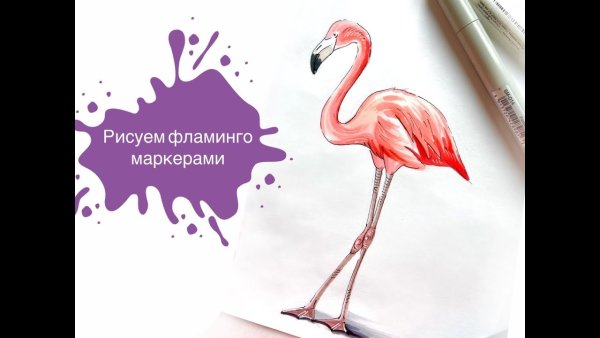 Фламинго рисунок фломастерами