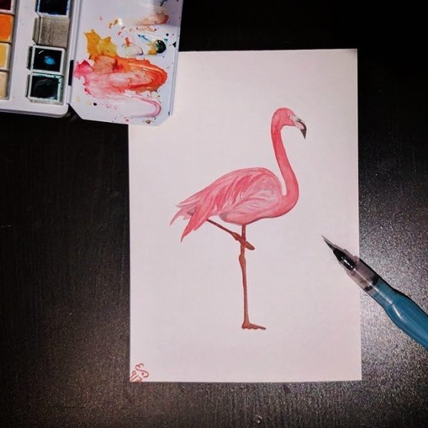 Птицы скетч маркерами