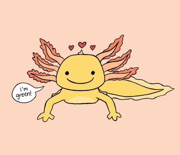 Зелёный аксолотль майнкрафт