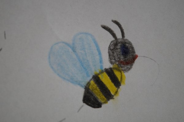 Рисование насекомых в детском саду