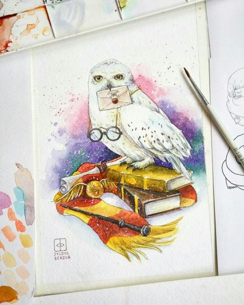 Скетч Сова Гарри Поттера