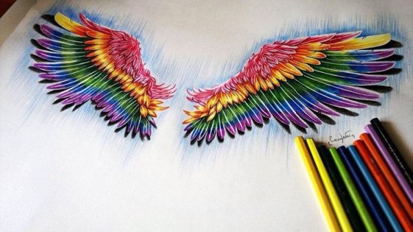 Крылья цветными карандашами