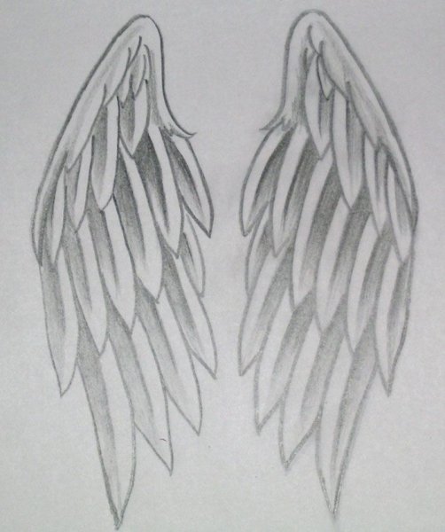 Легкое крыло