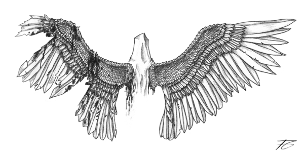 Эскиз орла с расправленными крыльями карандашом