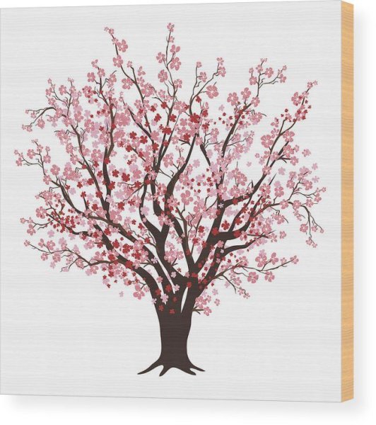 Дерево Сакура карандашом