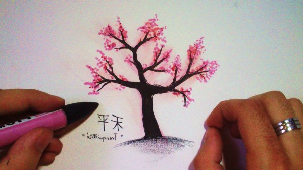 Сакура дерево рисунок карандашом