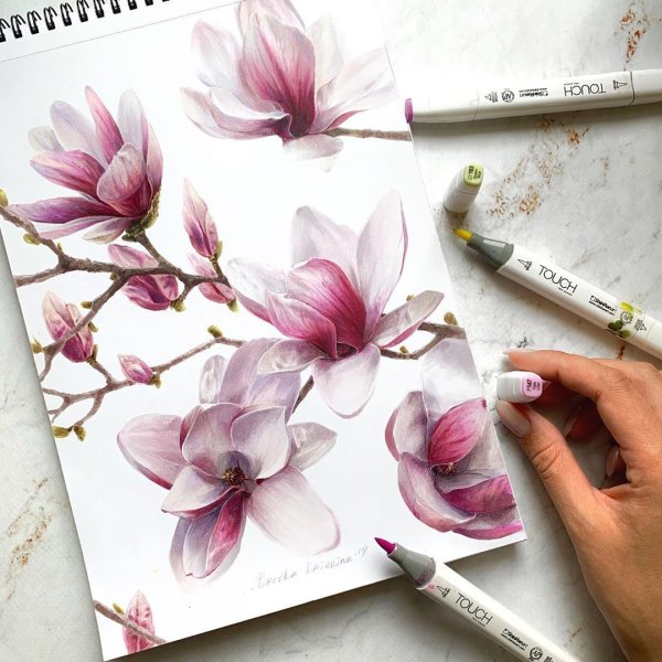 Магнолия скетч маркерами