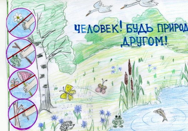 Рисунок на тему экология