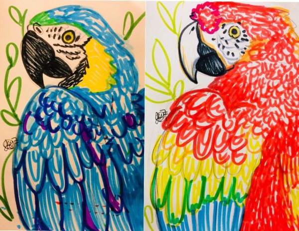 Попугай скетч маркерами