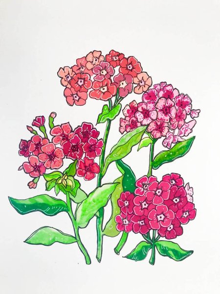 Рисунки цветов фломастерами