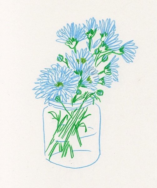 Рисование цветов штрихом