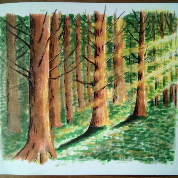 Рисунок леса фломастерами