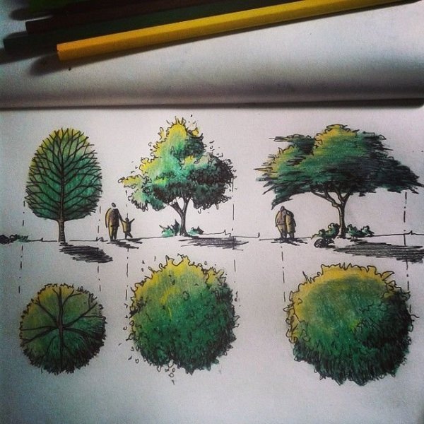 Рисуем фломастерами с детьми