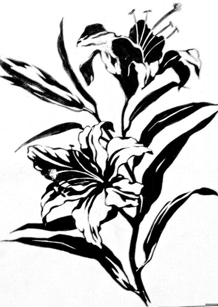 Стилизация цветов Графика