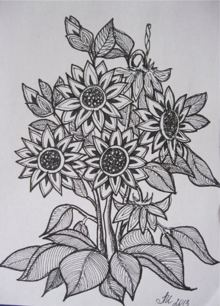 Цветы для срисовки фломастерами