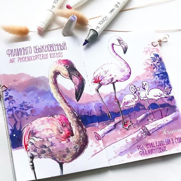 Фламинго маркерами