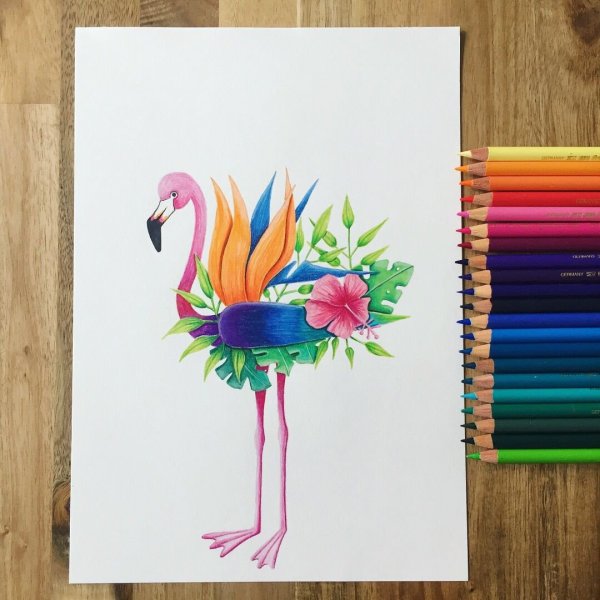 Фламинго фломастерами