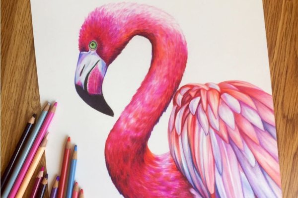 Рисунки цветными карандашами