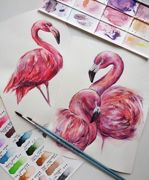 Скетчинг Фламинго