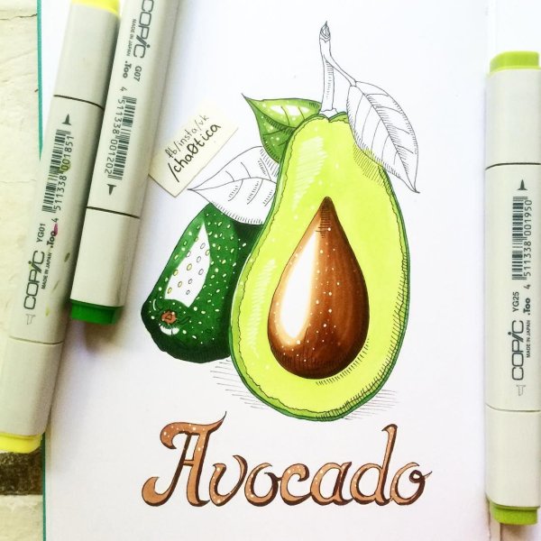 Скетчинг авокадо маркерами