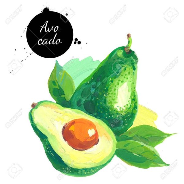 Авокадо скетч маркерами