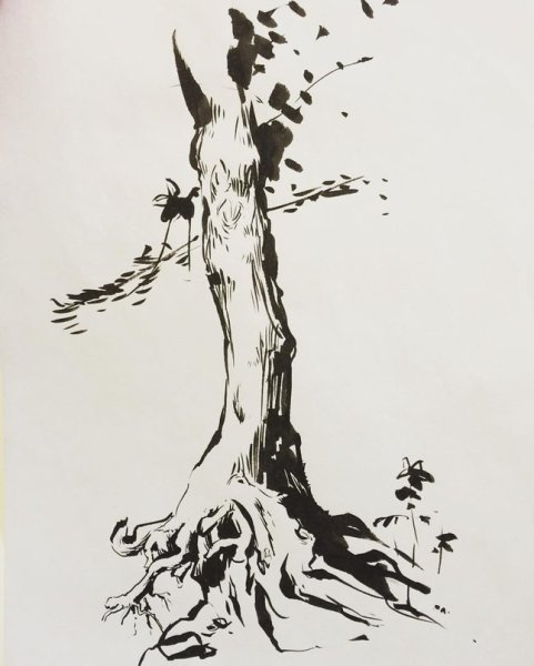 Нарисовать дерево фломастером