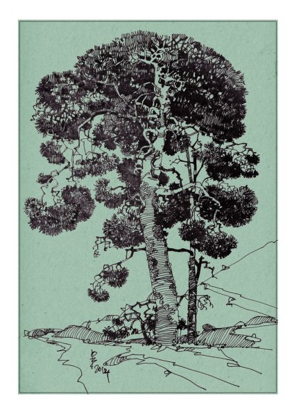 Дерево гелевой ручкой