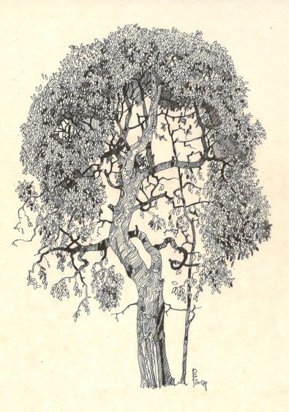 Дерево маркерами