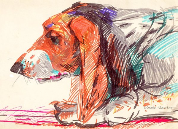 Рисунки фломастерами