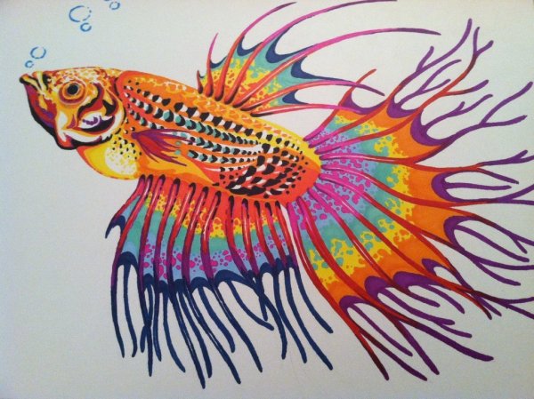 Рыбка цветными карандашами