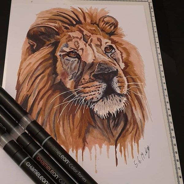 Рисунки маркерами Лев