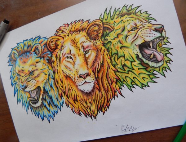 Лев фломастерами