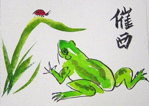 Лягушка фломастерами